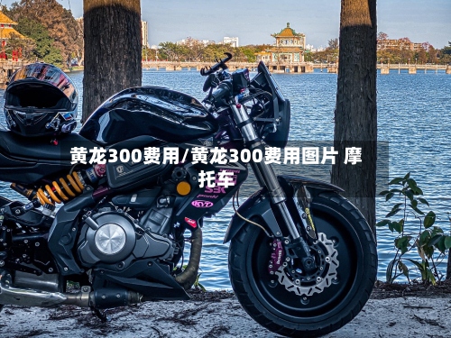 黄龙300费用/黄龙300费用图片 摩托车-第2张图片