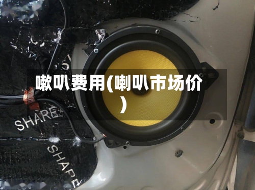 嗽叭费用(喇叭市场价)