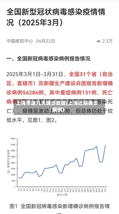 上海市这几天确诊数据(上海近期确诊病例)-第2张图片