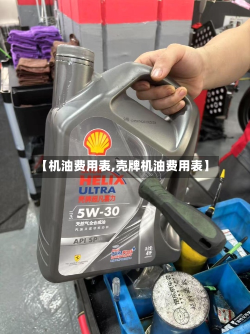 【机油费用表,壳牌机油费用表】-第2张图片