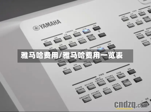 雅马哈费用/雅马哈费用一览表