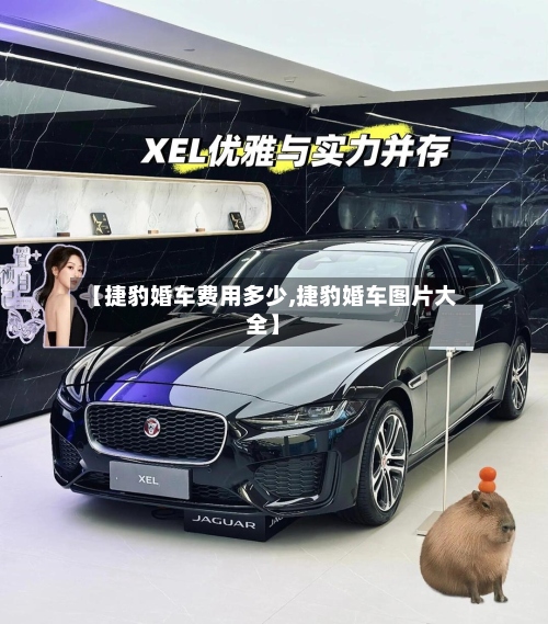 【捷豹婚车费用多少,捷豹婚车图片大全】
