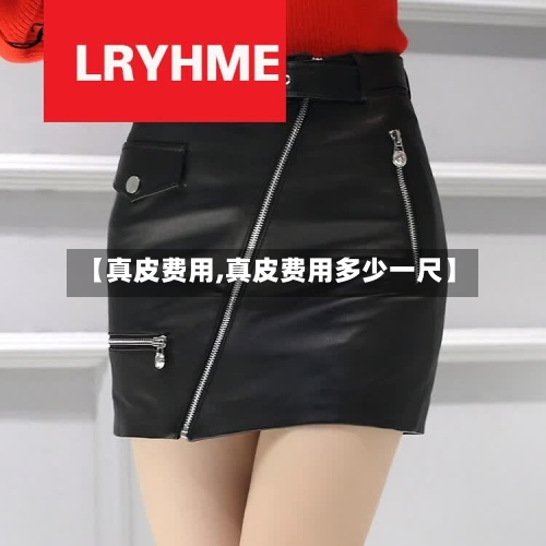 【真皮费用,真皮费用多少一尺】