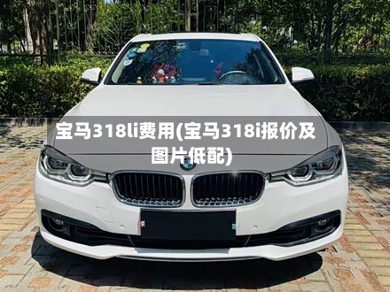 宝马318li费用(宝马318i报价及图片低配)