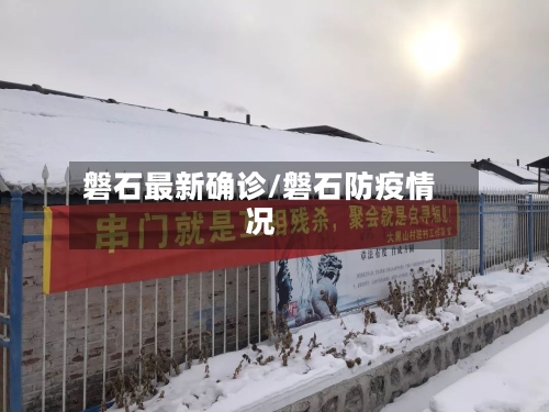 磐石最新确诊/磐石防疫情况-第3张图片