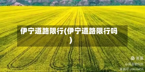 伊宁道路限行(伊宁道路限行吗)-第2张图片