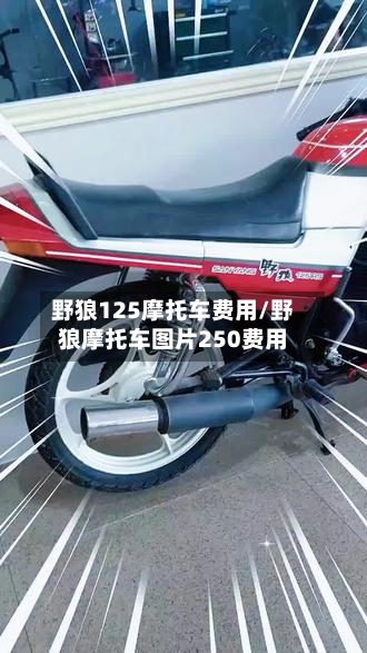 野狼125摩托车费用/野狼摩托车图片250费用-第2张图片