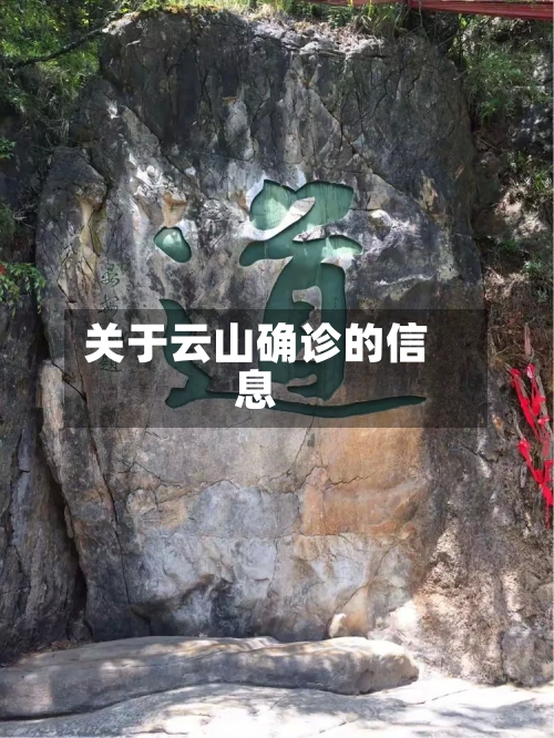 关于云山确诊的信息-第2张图片