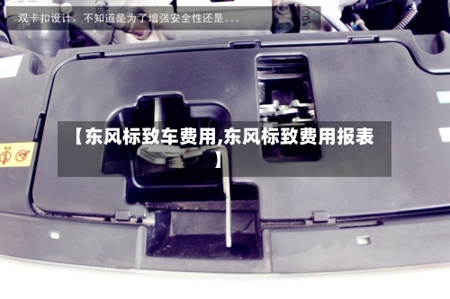 【东风标致车费用,东风标致费用报表】-第2张图片