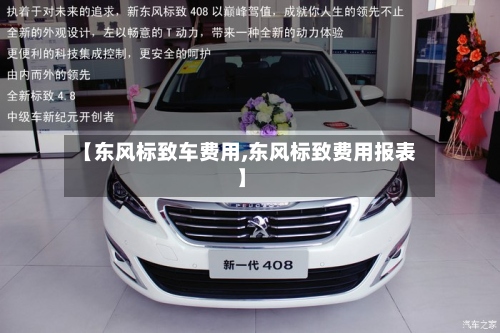 【东风标致车费用,东风标致费用报表】-第3张图片