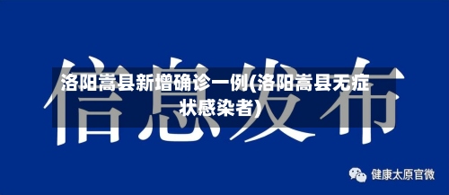 洛阳嵩县新增确诊一例(洛阳嵩县无症状感染者)-第2张图片