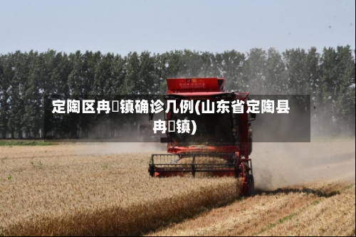 定陶区冉堌镇确诊几例(山东省定陶县冉堌镇)-第2张图片