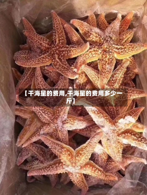 【干海星的费用,干海星的费用多少一斤】-第2张图片