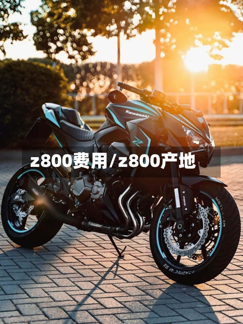 z800费用/z800产地