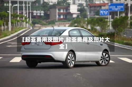 【起亚费用及图片,起亚费用及图片大全】