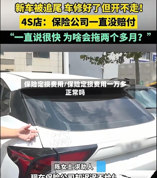 保险定损费用/保险定损费用一万多正常吗