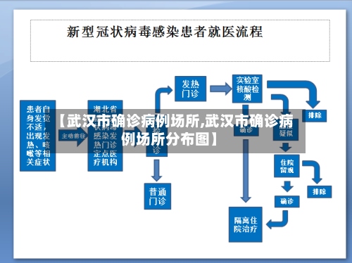 【武汉市确诊病例场所,武汉市确诊病例场所分布图】-第2张图片