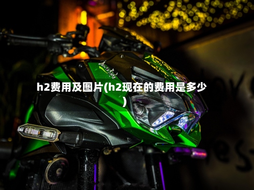 h2费用及图片(h2现在的费用是多少)-第2张图片