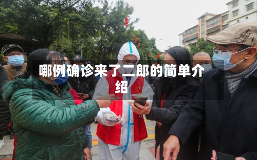 哪例确诊来了二郎的简单介绍-第2张图片