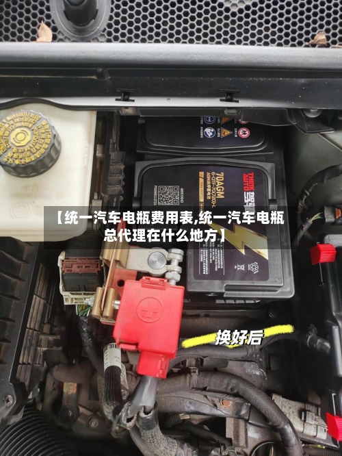 【统一汽车电瓶费用表,统一汽车电瓶总代理在什么地方】-第2张图片