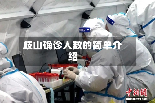 歧山确诊人数的简单介绍