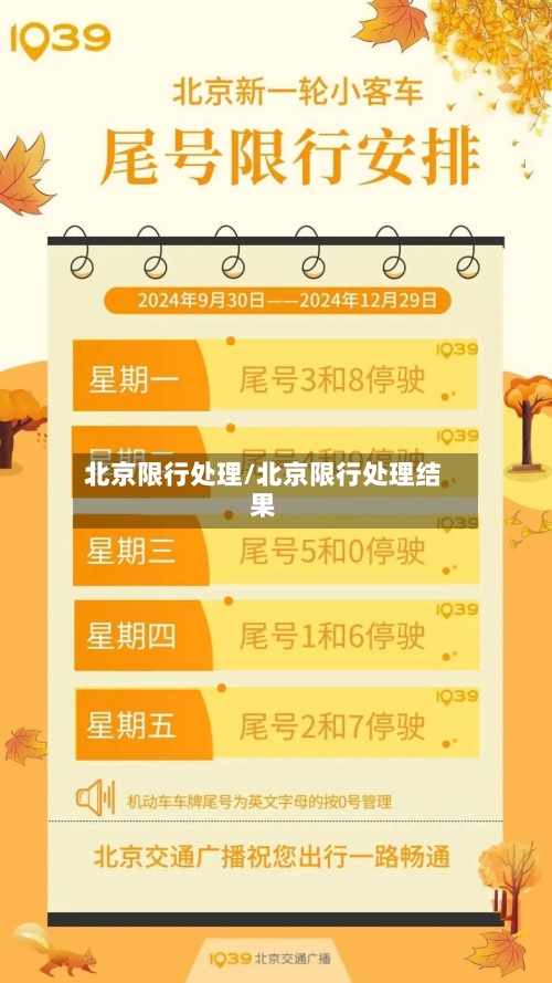 北京限行处理/北京限行处理结果-第2张图片