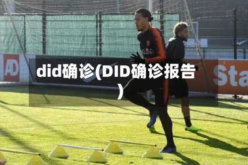 did确诊(DID确诊报告)-第2张图片