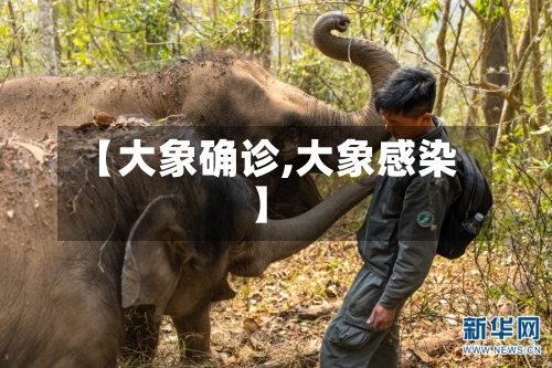 【大象确诊,大象感染】-第2张图片