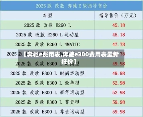 【奔驰e费用表,奔驰e300费用表最新报价】-第2张图片