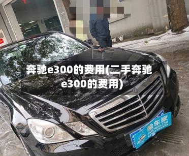 奔驰e300的费用(二手奔驰e300的费用)-第2张图片