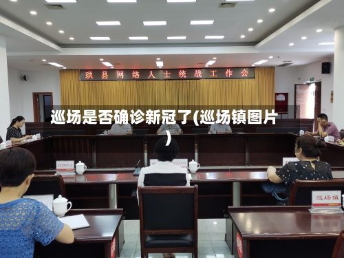巡场是否确诊新冠了(巡场镇图片)
