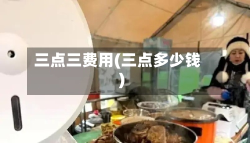 三点三费用(三点多少钱)