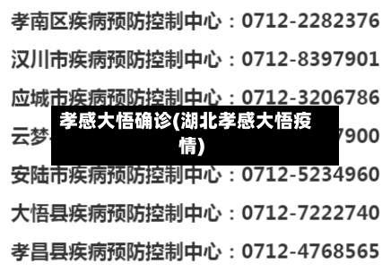 孝感大悟确诊(湖北孝感大悟疫情)-第2张图片