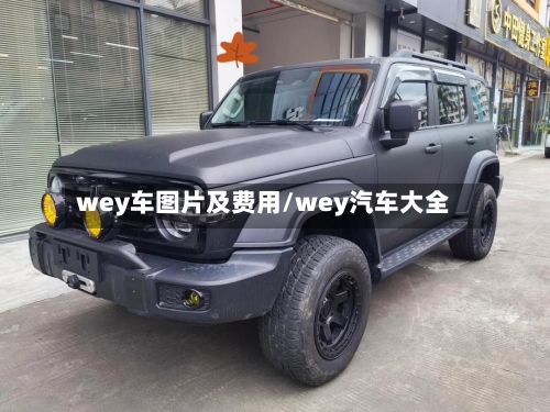 wey车图片及费用/wey汽车大全-第3张图片