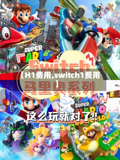 【H1费用,switch1费用】