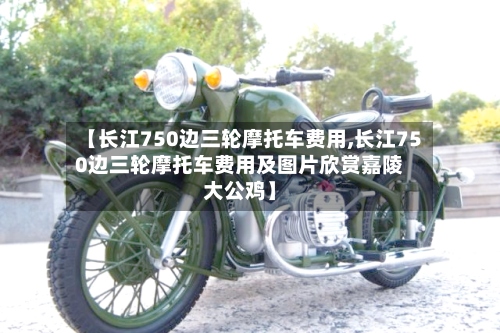 【长江750边三轮摩托车费用,长江750边三轮摩托车费用及图片欣赏嘉陵大公鸡】-第2张图片