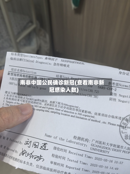 南非中国公民确诊新冠(查看南非新冠感染人数)