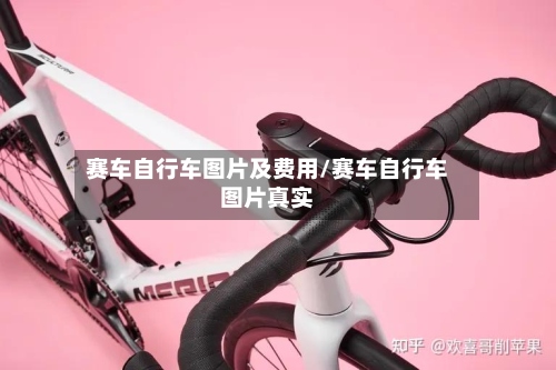 赛车自行车图片及费用/赛车自行车图片真实-第2张图片