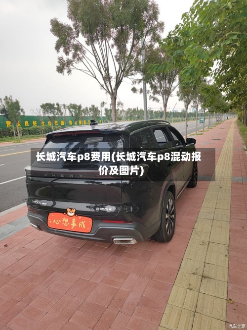 长城汽车p8费用(长城汽车p8混动报价及图片)-第2张图片