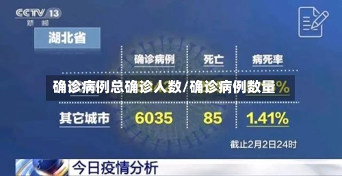 确诊病例总确诊人数/确诊病例数量-第2张图片