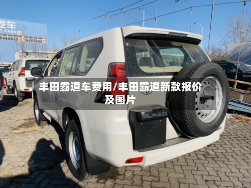 丰田霸道车费用/丰田霸道新款报价及图片-第3张图片