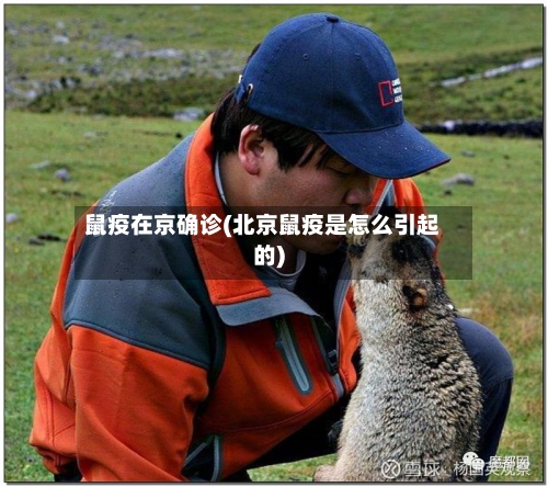鼠疫在京确诊(北京鼠疫是怎么引起的)-第2张图片