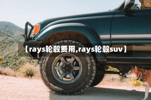 【rays轮毂费用,rays轮毂suv】-第2张图片