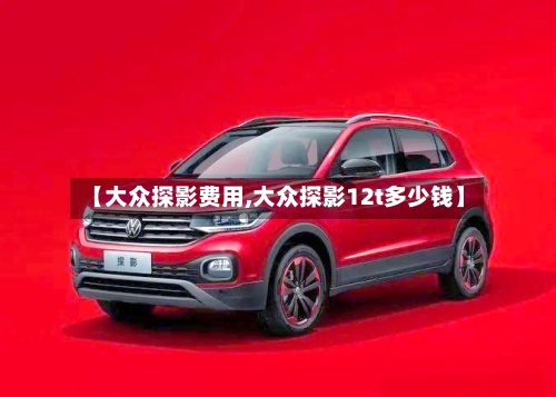 【大众探影费用,大众探影12t多少钱】-第2张图片