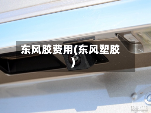 东风胶费用(东风塑胶)