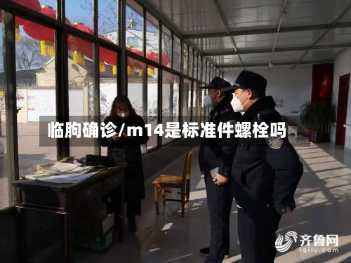临朐确诊/m14是标准件螺栓吗-第3张图片
