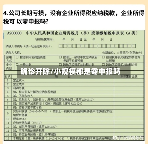 确诊开除/小规模都是零申报吗-第2张图片