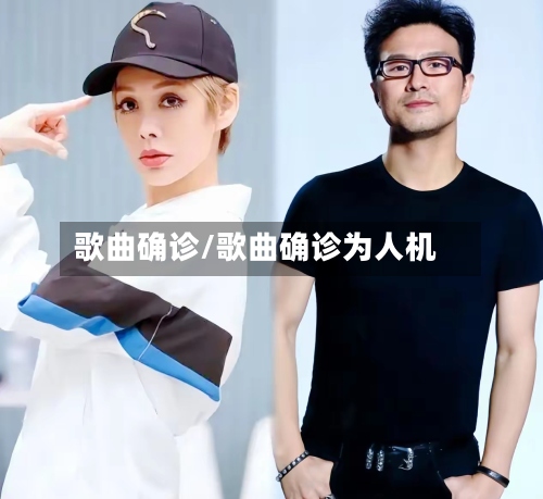 歌曲确诊/歌曲确诊为人机-第2张图片