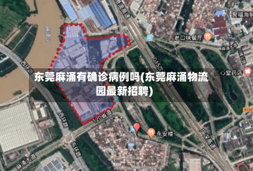东莞麻涌有确诊病例吗(东莞麻涌物流园最新招聘)-第2张图片