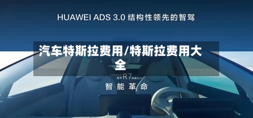 汽车特斯拉费用/特斯拉费用大全-第2张图片